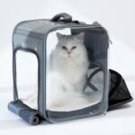 타임리스 확장형 폴더블 투명백팩 애견백팩 A10