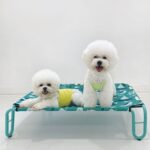 유앤펫 강아지 고양이 슬립 스탠드 해먹(S~XL)