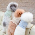 강아지하네스 강아지하네스옷 루나프릴하네스