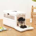 페스텝 파스텔 빼꼼이 강아지 켄넬방석