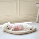 강아지방석 여름 쿨방석 쿨링패드 아이스 시원한 냉감방석 쿠션